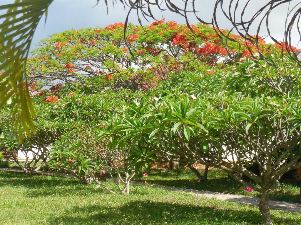 Swahili Beach Resort Zanzibar Ngoại thất bức ảnh